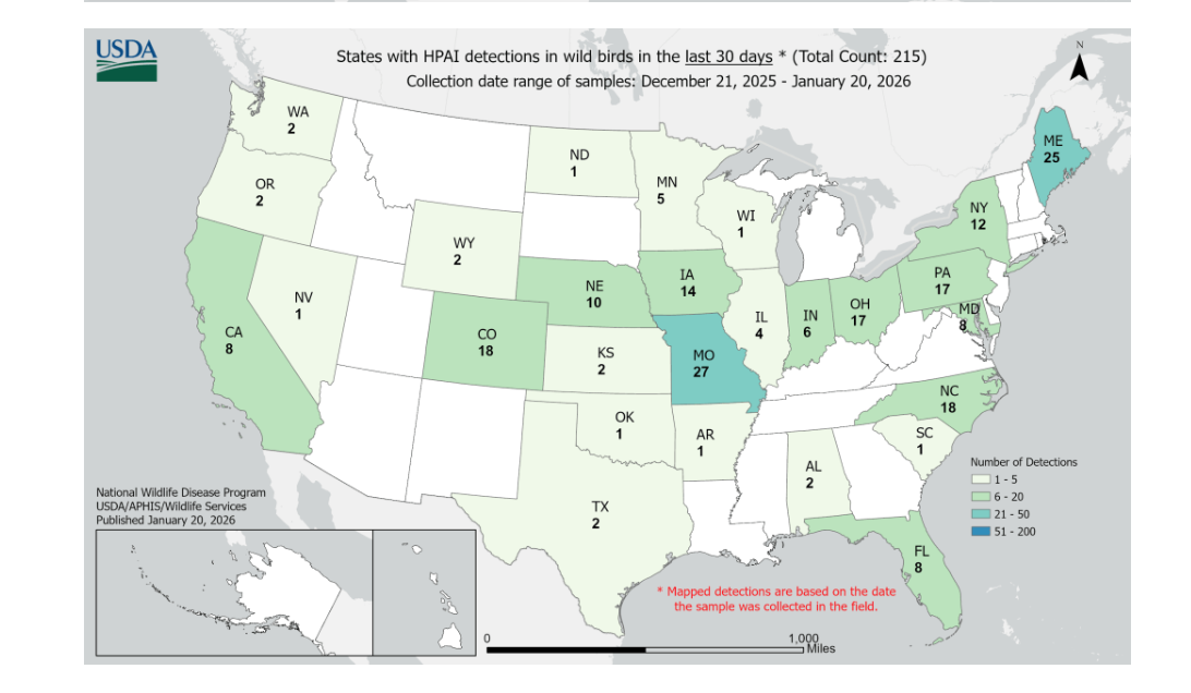 Bird Flu In 2026 What Experts Say About The Risk The Reality And Screen Shot 2026 01 27 At 4.38.02 PM 